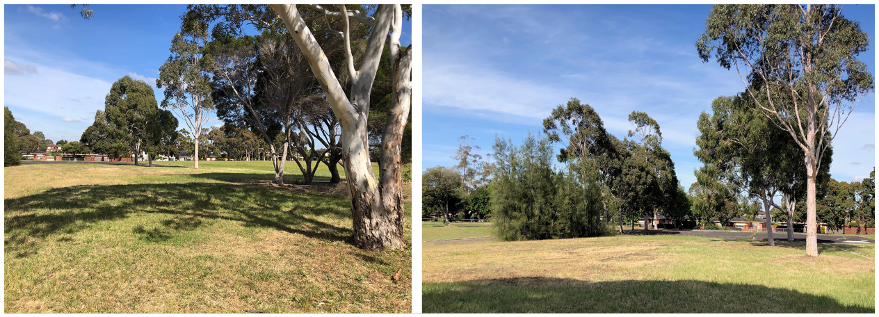 Two images of the site - lawn and trees and a building in the distance